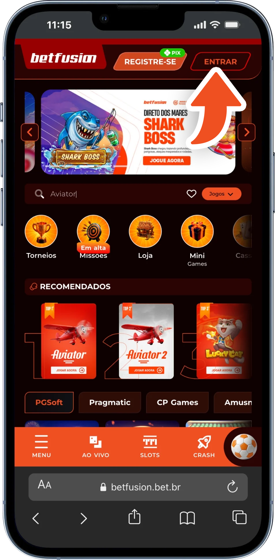 Passo 1 — Login na sua conta